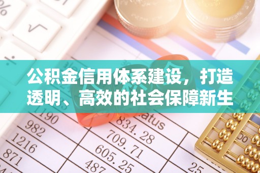 唐山公积金信用体系建设，打造透明、高效的社会保障新生态